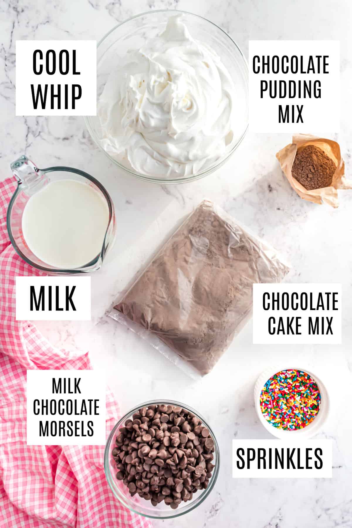 Ingredients needed to make chocolate pudding cake.