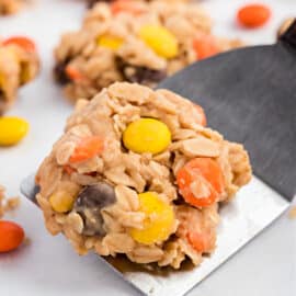 Peanut Butter No Bake Cookies are a classic, childhood treat made with oatmeal, peanut butter, and Reese's candy!
