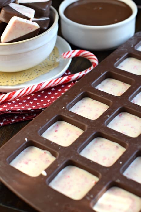 The BEST Peppermint Bark recipe is made with good quality chocolate, and dipped to perfection. You'll love this Christmas treat for yourself or to give as a gift!