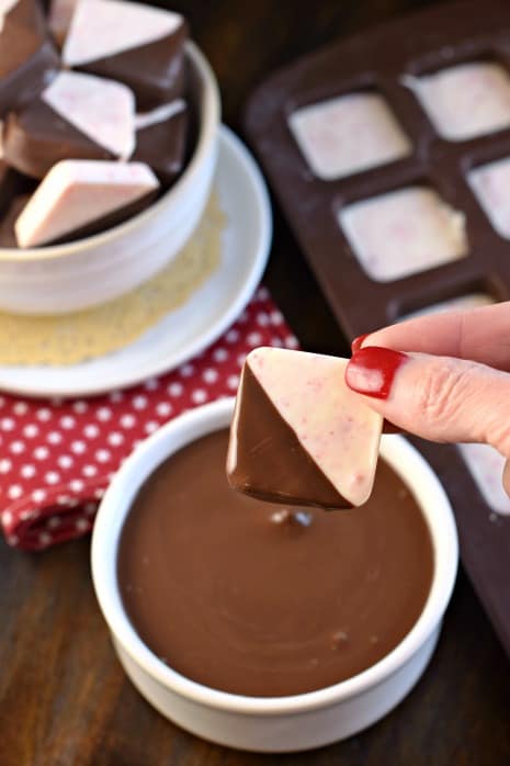The BEST Peppermint Bark recipe is made with good quality chocolate, and dipped to perfection. You'll love this Christmas treat for yourself or to give as a gift!