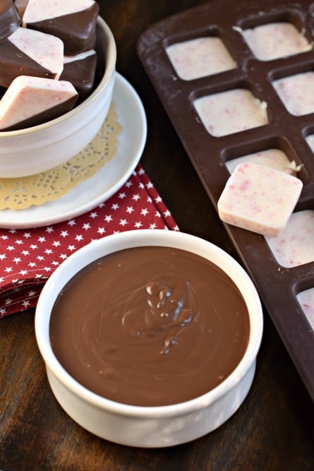 The BEST Peppermint Bark recipe is made with good quality chocolate, and dipped to perfection. You'll love this Christmas treat for yourself or to give as a gift!