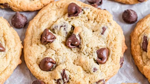 Chocolate Chip Pizookie Recipe - Shugary Sweets