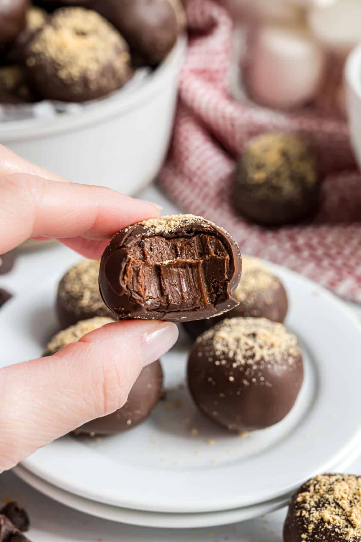 The Best Truffle Dessert Recipe  Easy Homemade Chocolate Truffles