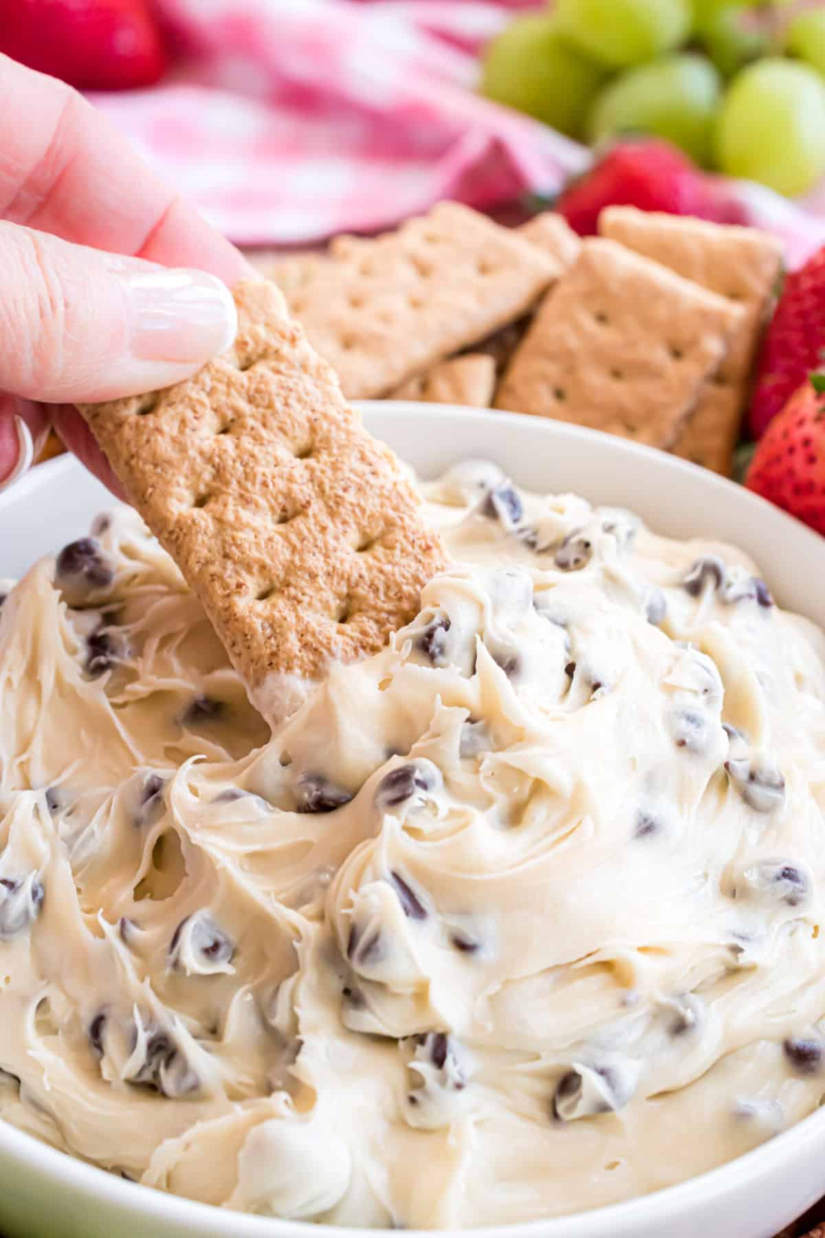 Chocolate chip cookie dough dip with a graham cracker dipper.