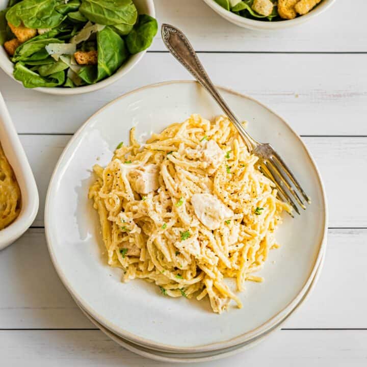 Chicken tetrazzini on a white dinner plate with silver fork.