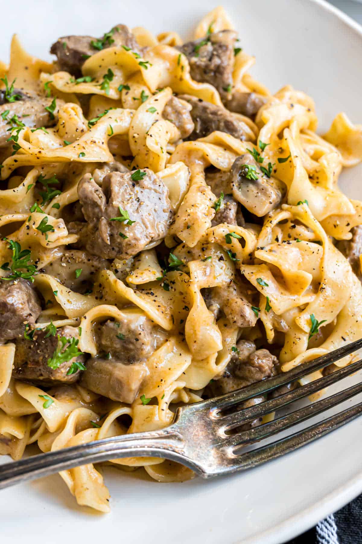 Close-up of classic beef stroganoff with tender beef, egg noodles, mushrooms, creamy sauce, and fresh herbs, served on a white plate with a fork.