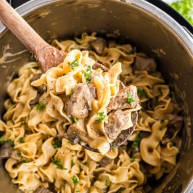 A spoonful of creamy beef stroganoff, with tender egg noodles and a sprinkle of parsley, held over a steaming pot.