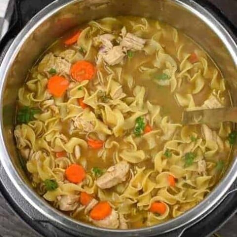 Instant Pot Chicken Noodle Soup