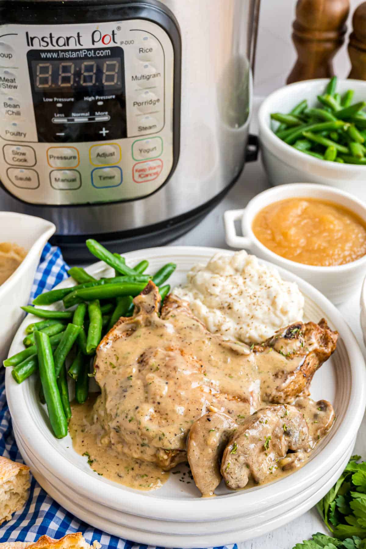 Two pork chops served on a white plate with beans and potatoes.