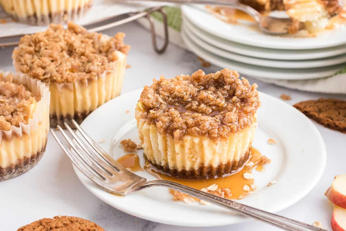 https://www.shugarysweets.com/wp-content/uploads/2019/11/caramel-apple-cheesecakes-facebook.jpg