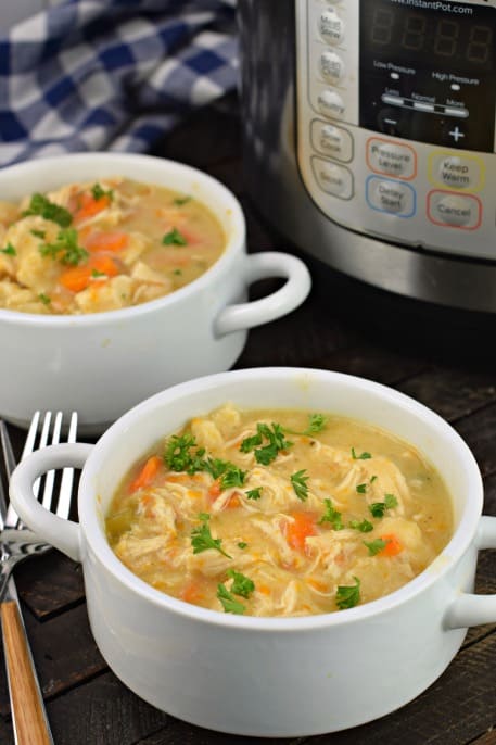 Chicken and dumplings served in two white soup bowls.