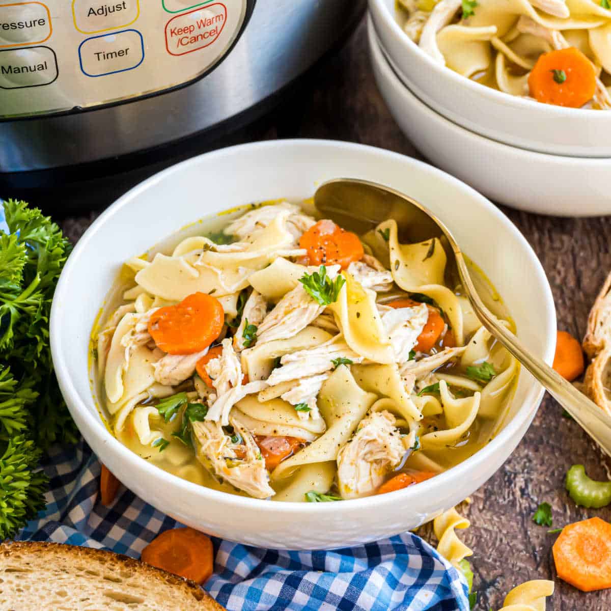Instant Pot Chicken Noodle Soup Recipe