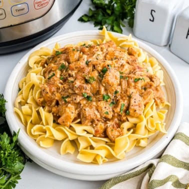Creamy chicken stroganoff served over egg noodles on a white plate, garnished with parsley—an easy twist inspired by Instant Pot chicken paprikash.