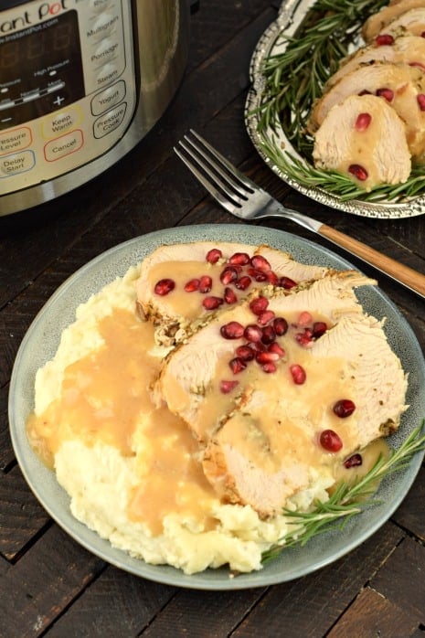 Dinner plate with mashed potatoes, gravy, sliced turkey breast and pomegranates.