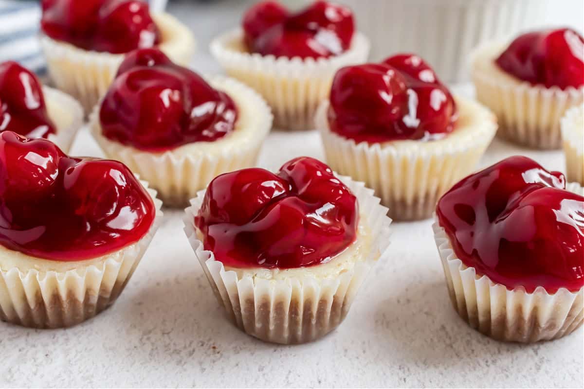 Mini Cherry Cheesecakes Recipe- Shugary Sweets