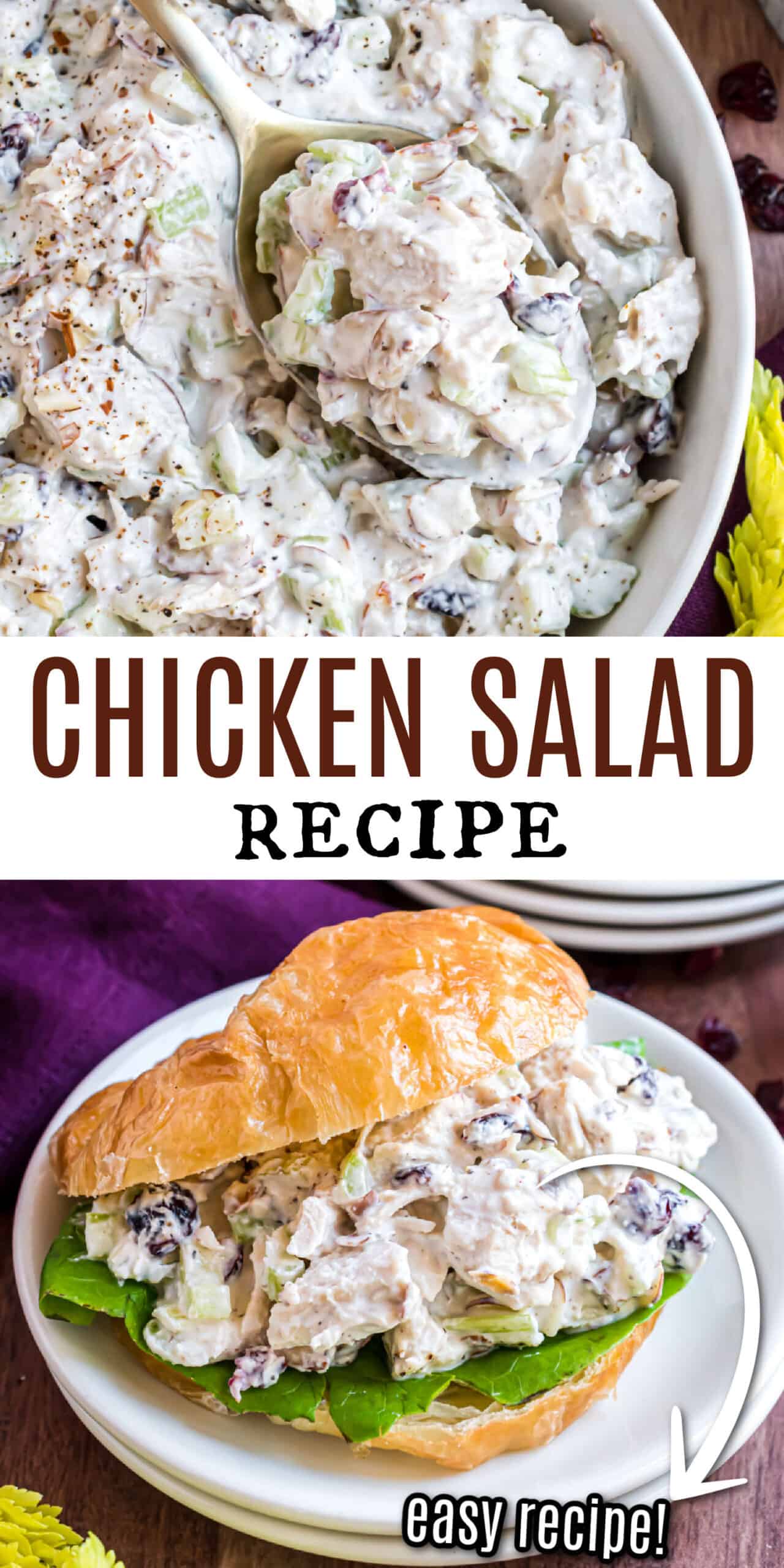 Chicken Salad Recipe - Shugary Sweets