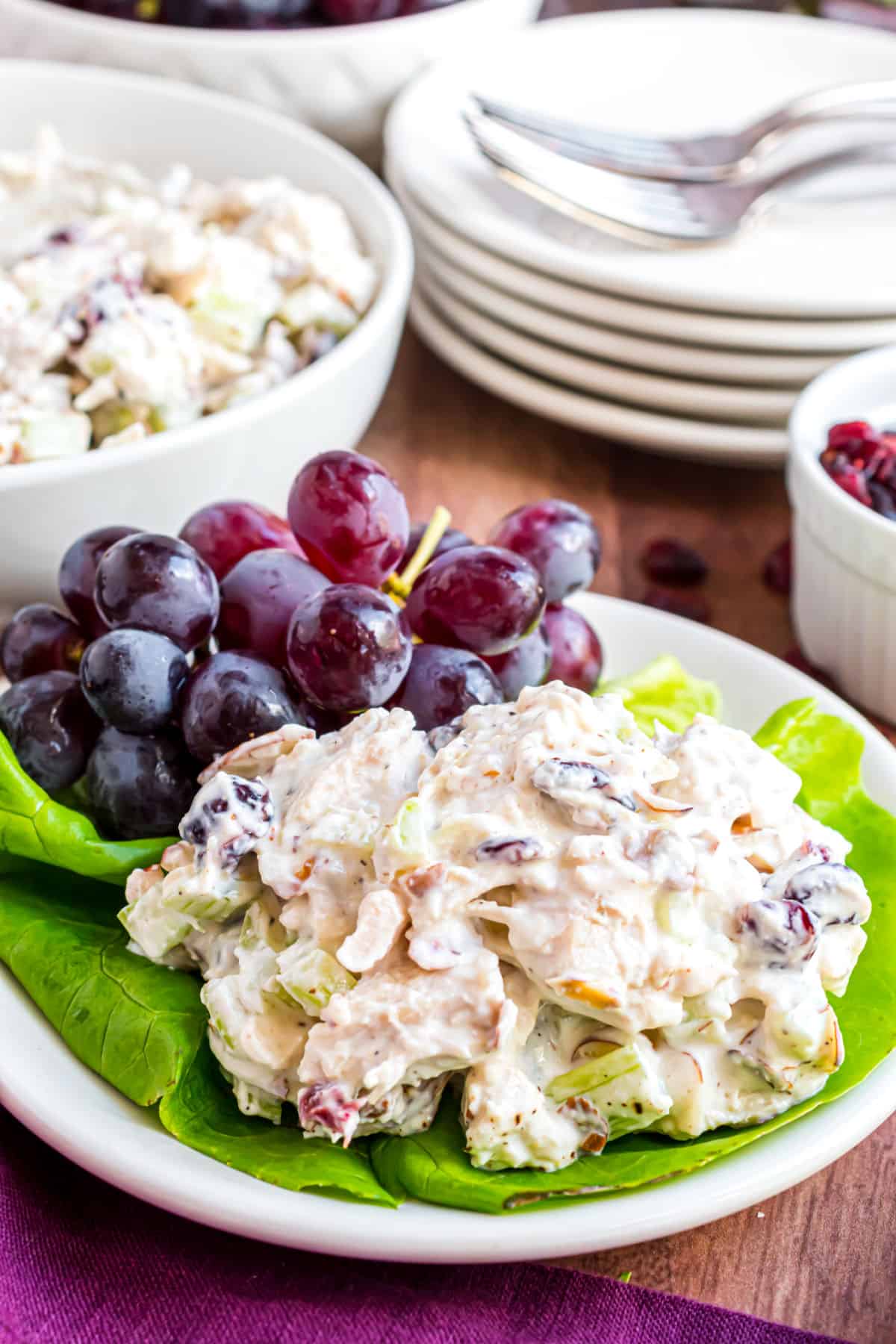 Chicken salad served on a bed of lettuce with red grapes on plate.