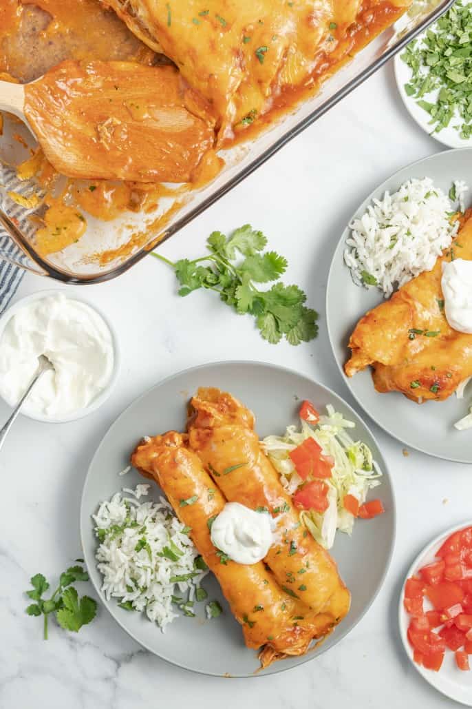 Chicken enchiladas topped with sour cream, served on a gray plate with cilantro lime rice, lettuce, and tomatoes.