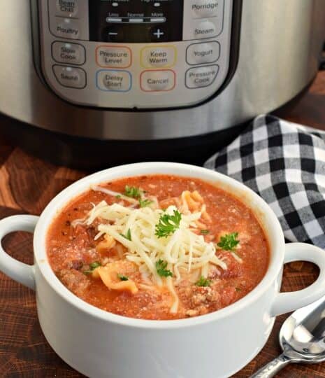 60+ of the BEST Instant Pot Recipes