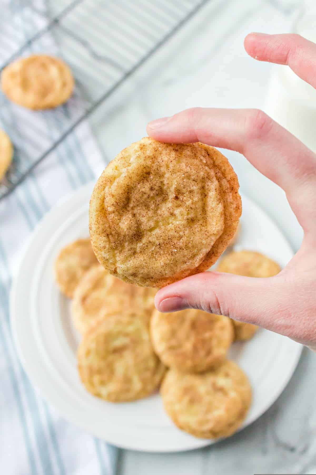 Hand holding snickerdoodle cookie above a plate of cookies.