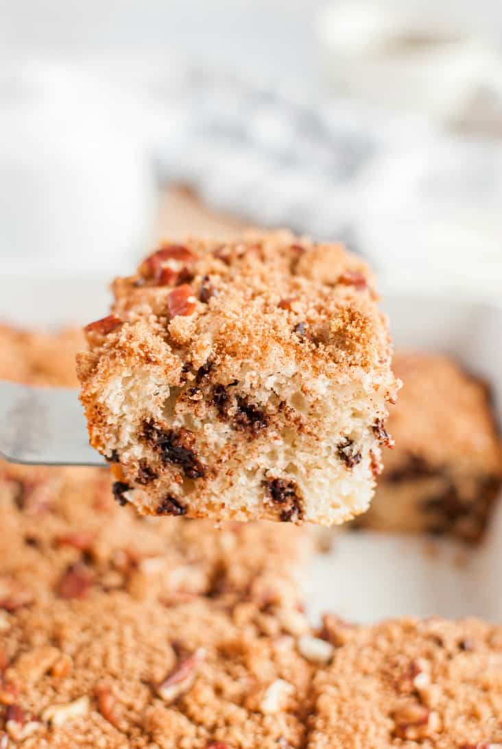 Slice of unglazed chocolate chip cake on a spatula.