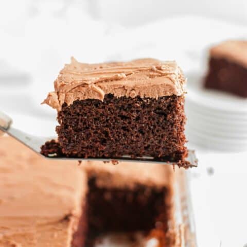 Slice of wacky cake on a spatula.