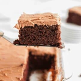 Slice of wacky cake on a spatula.
