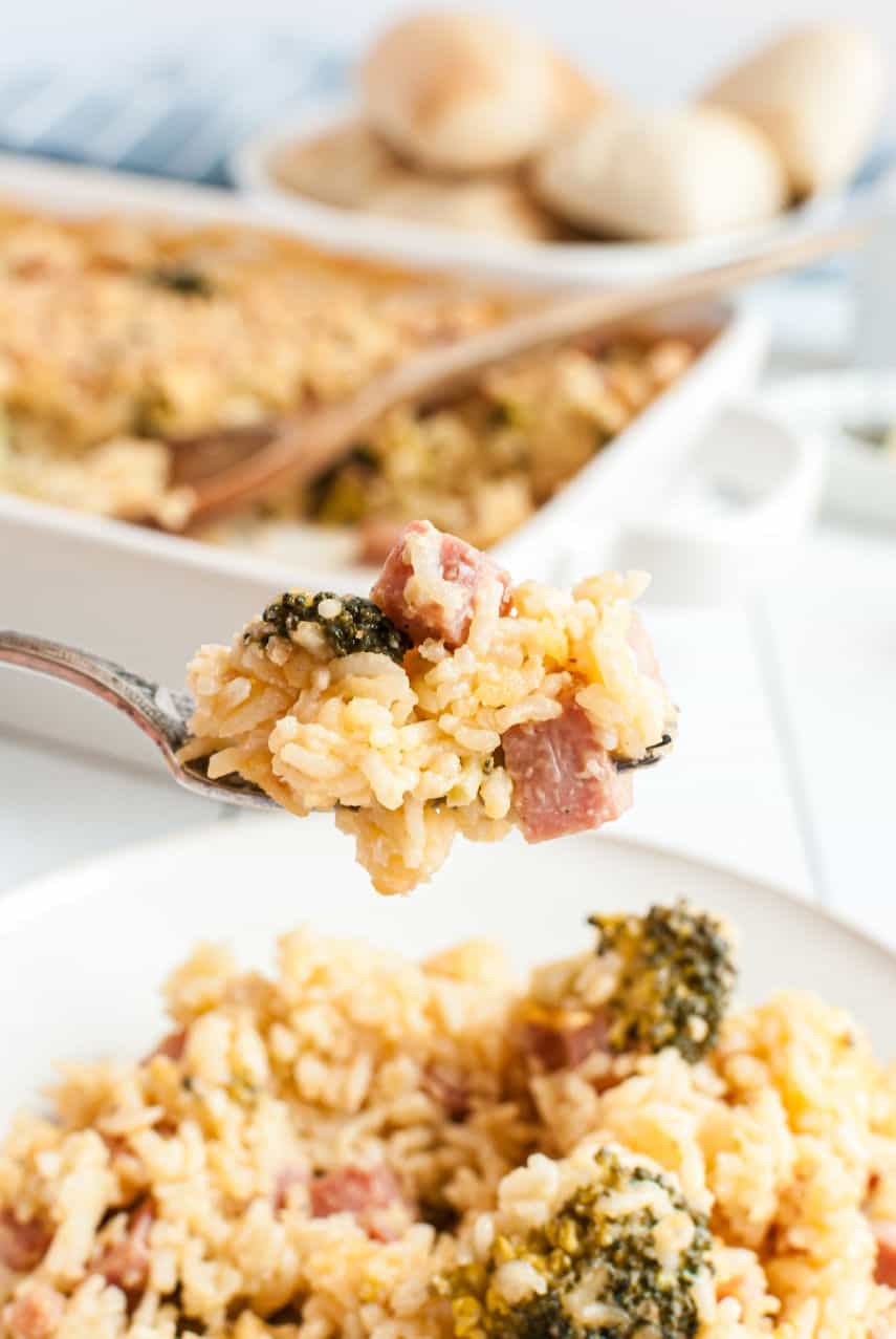 Spoonful of ham casserole with broccoli, rice, and cheese!