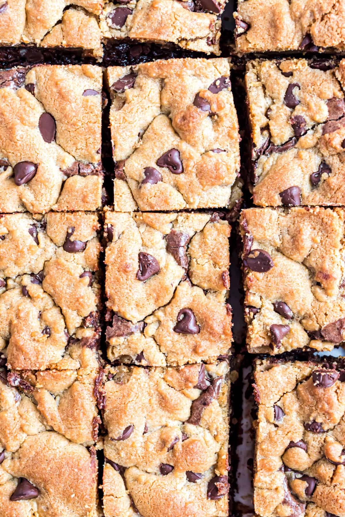 Chocolate chip brownies cut into large squares.