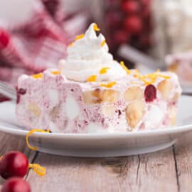 Frozen Cranberry Salad - This frosty salad is an explosion of cranberry flavor! With pineapple chunks and loads of sweet cool whip, it's a must try dessert that's especially popular for the holidays.