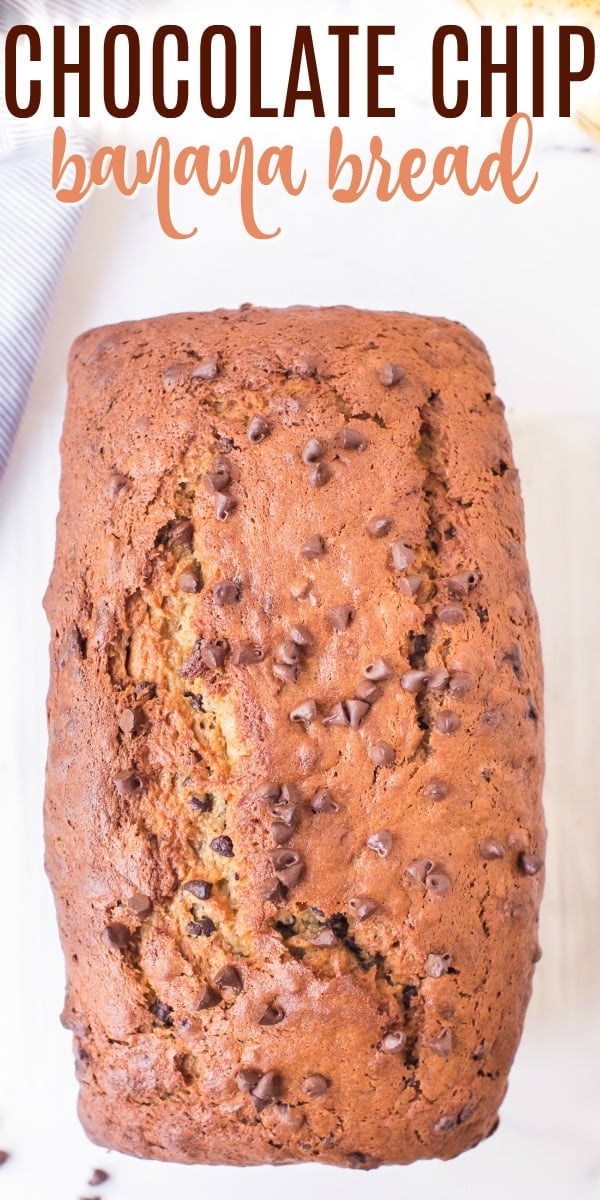 Chocolate Chip Banana Bread Recipe - Shugary Sweets