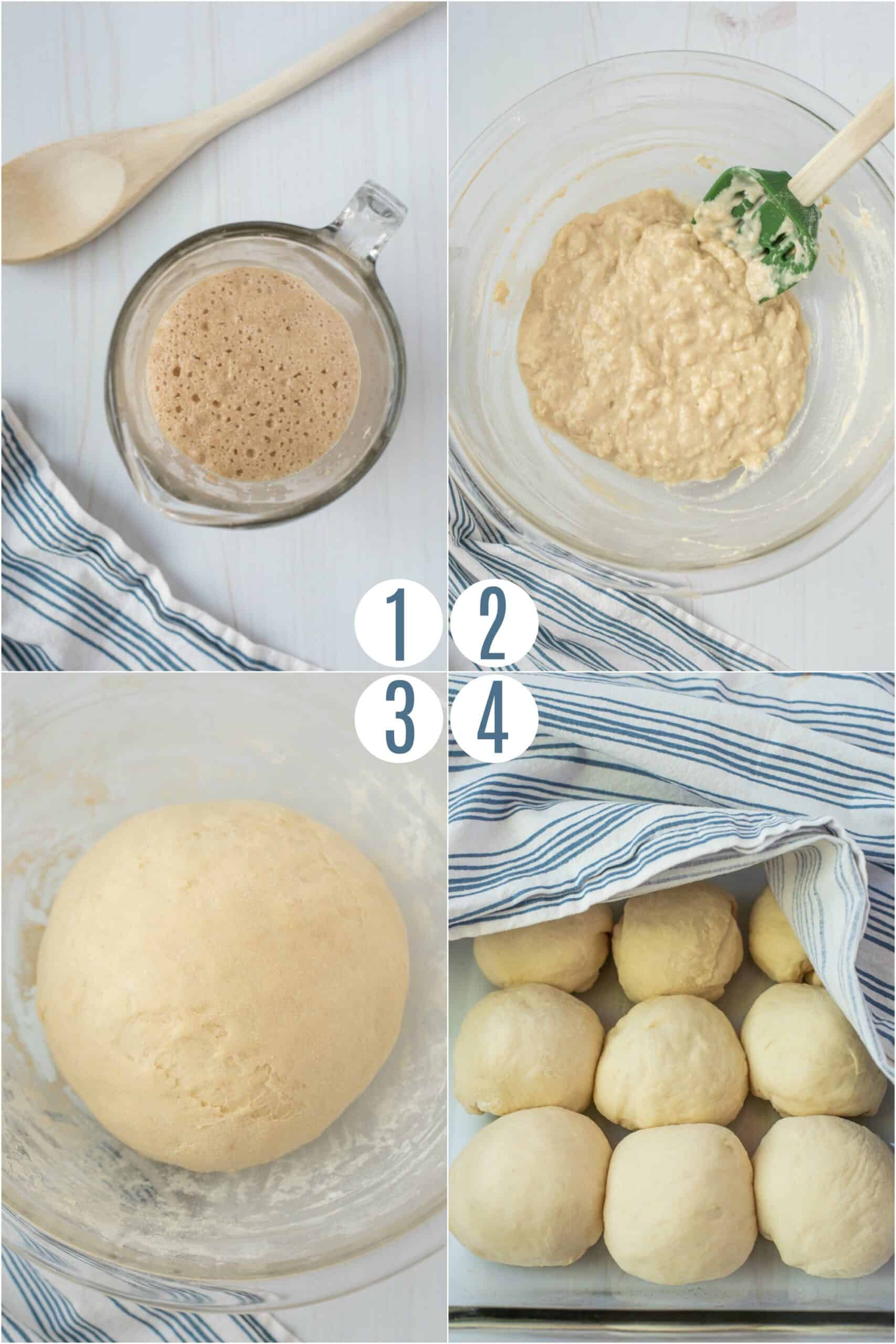 Step by step photos showing how to make dinner rolls.
