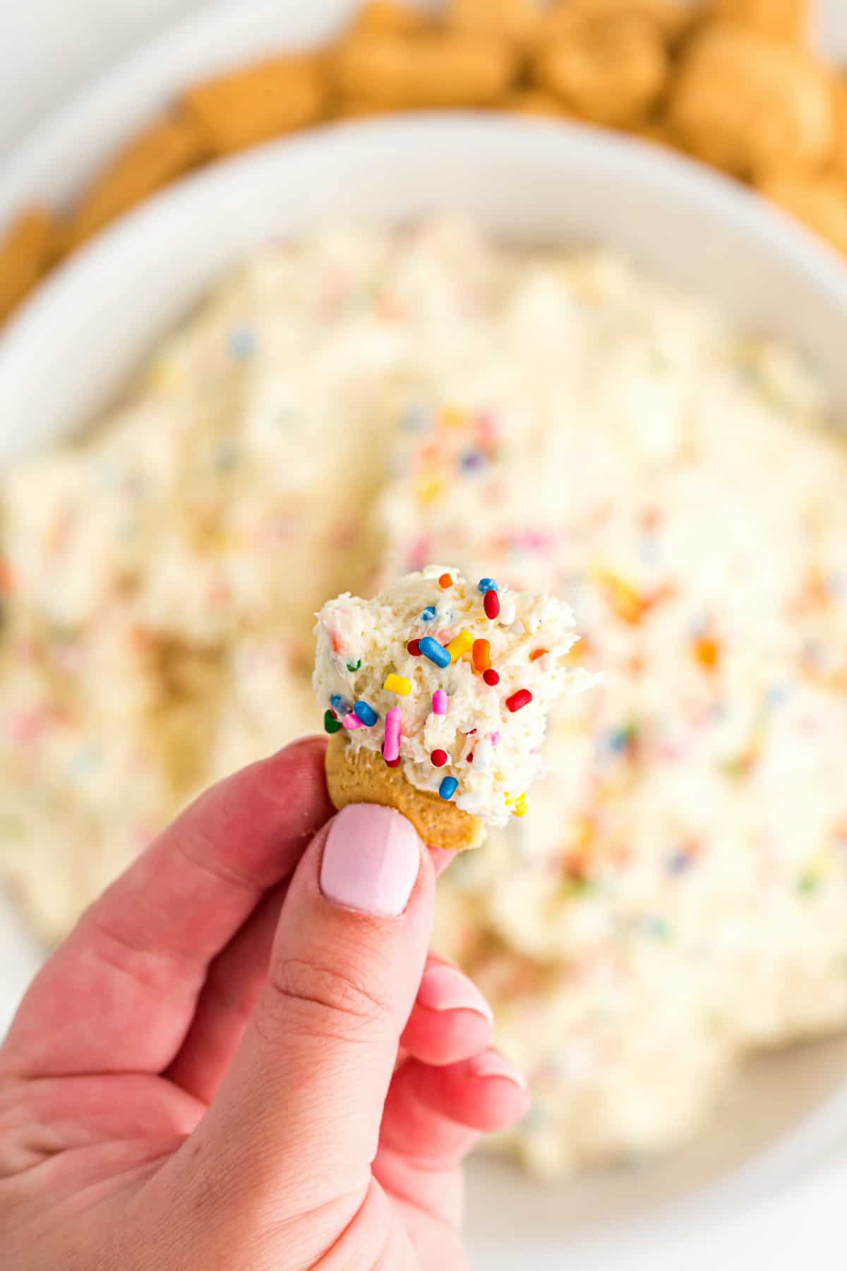 Animal cracker dunked in funfetti cake batter dip.