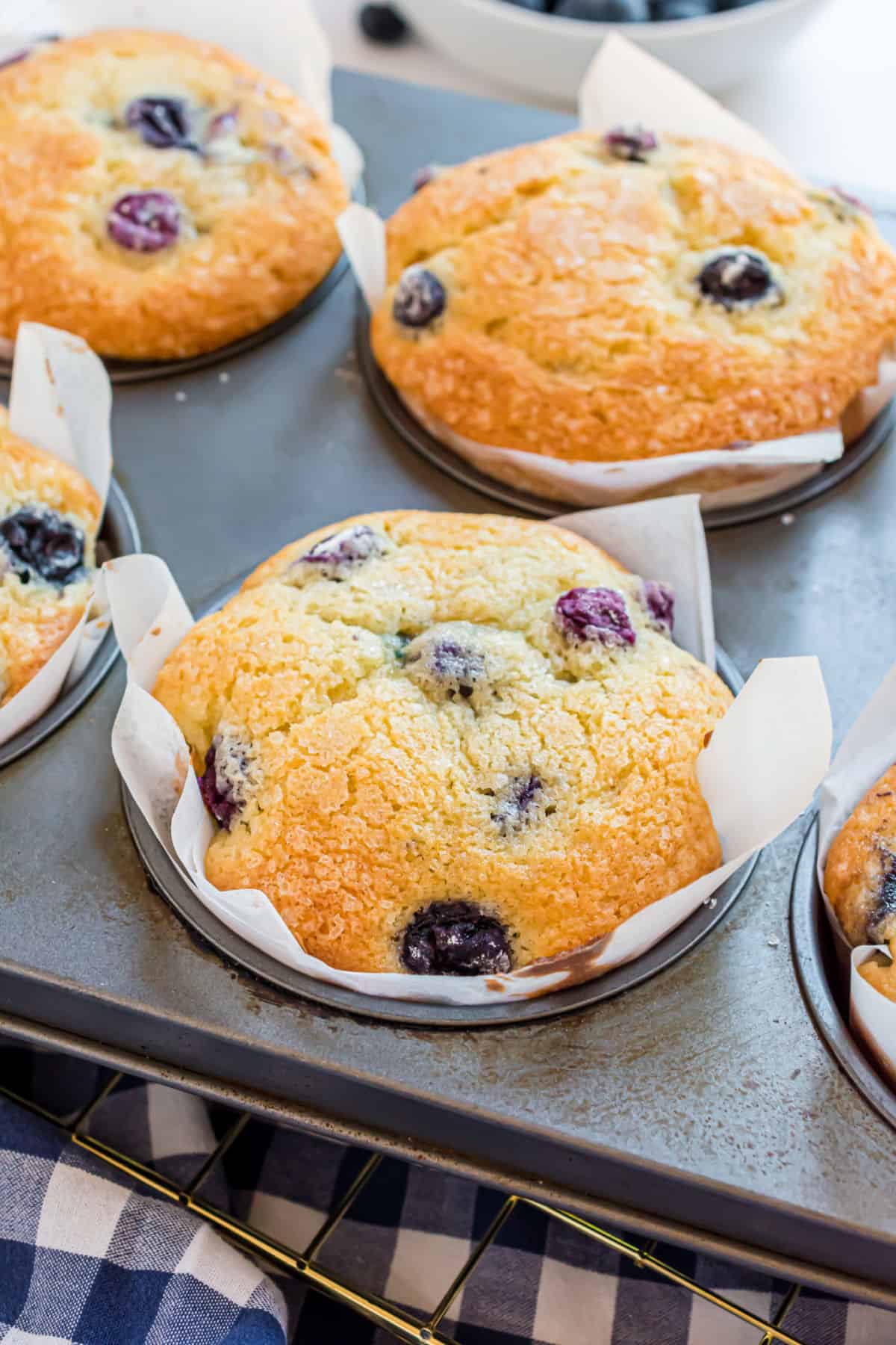 Blueberry muffins in muffins pan after baking.