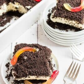 Vanilla dirt pudding cake with gummi worms.