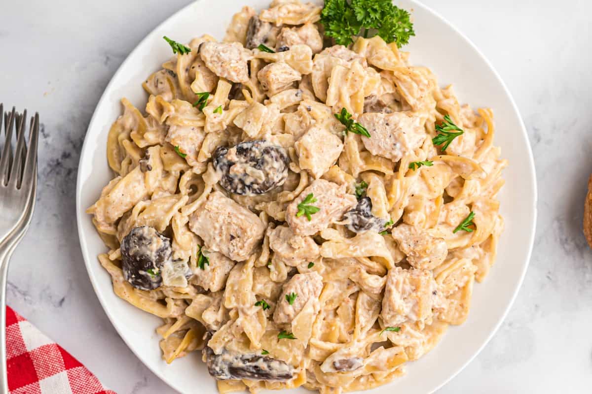 Chicken stroganoff on a white dinner plate with parsley as a garnish.