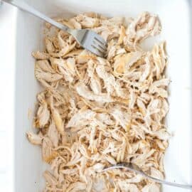 Shredded chicken in a white baking dish with fork.