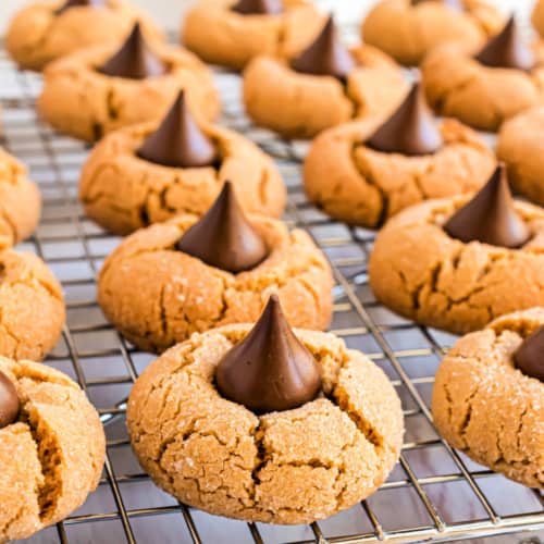 Soft and chewy, this Peanut Butter Blossoms cookie recipe is THE BEST. They'll disappear quickly, so be sure to snag one for yourself!