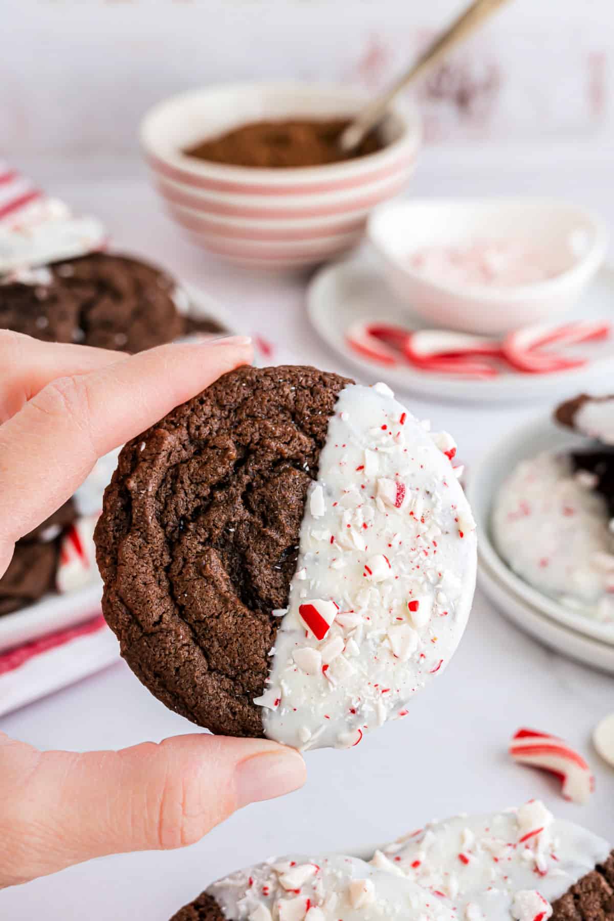 Chocolate cookie with peppermint and white chocolate being held.