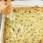 Spinach artichoke dip scooped onto a tortilla chip.
