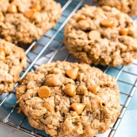 Soft, chewy and bursting with butterscotch, Oatmeal Scotchies are oatmeal cookies at their best. Cinnamon sugar flavor and a lightly crisped exterior make these extra delicious!