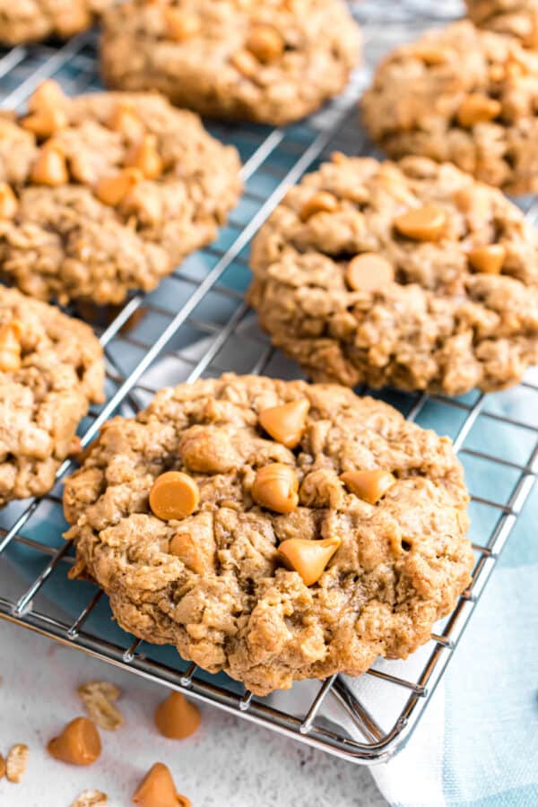 Soft, chewy and bursting with butterscotch, Oatmeal Scotchies are oatmeal cookies at their best. Cinnamon sugar flavor and a lightly crisped exterior make these extra delicious!