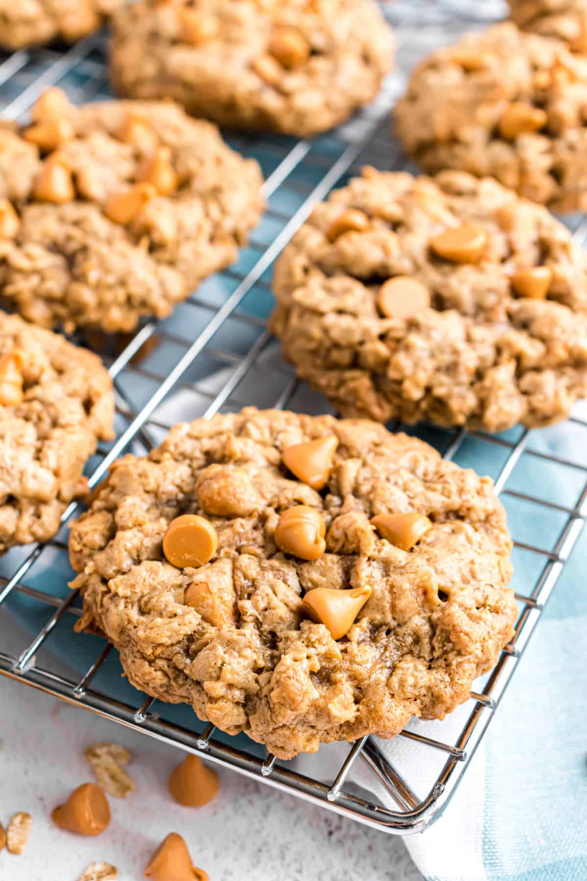 Oatmeal Scotchie Cookies cooling on a wire rack with extra butterscotch morsels.