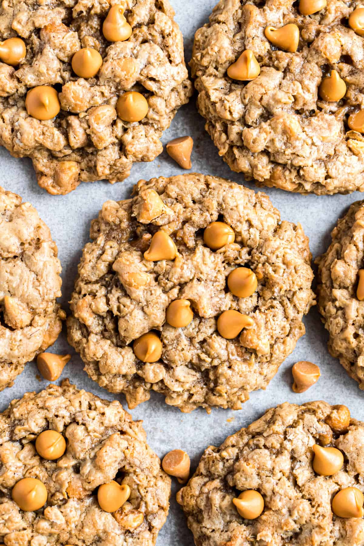 Oatmeal scotchies on parchment paper.