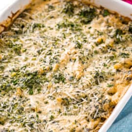 Spinach alfredo baked in a 13x9 white baking dish.