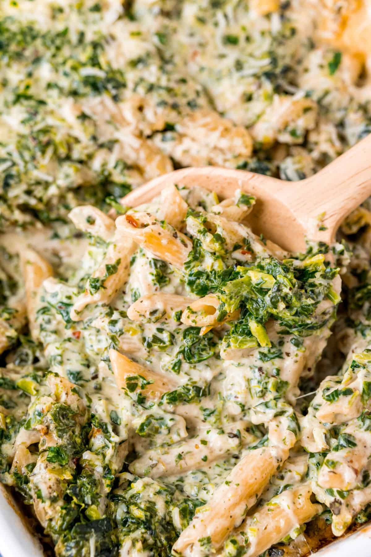 Spinach alfredo pasta close up being scooped with wooden spoon.