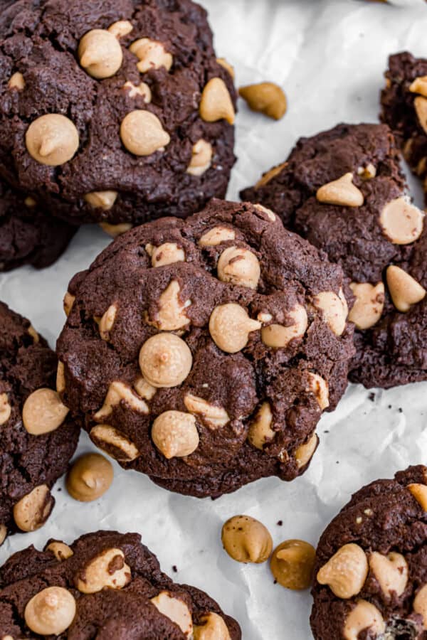 Chocolate Peanut Butter Cookies Recipe Shugary Sweets