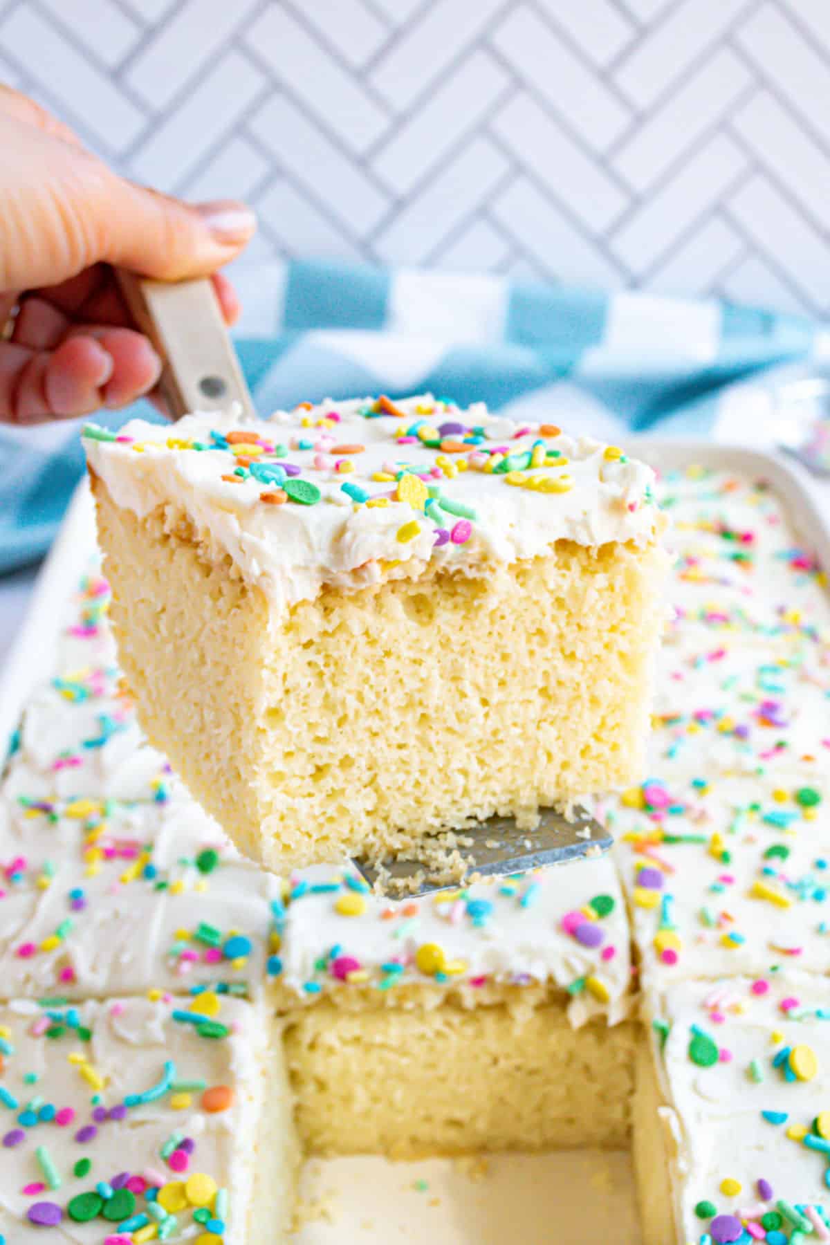 Vanilla shee cake on a spatula.