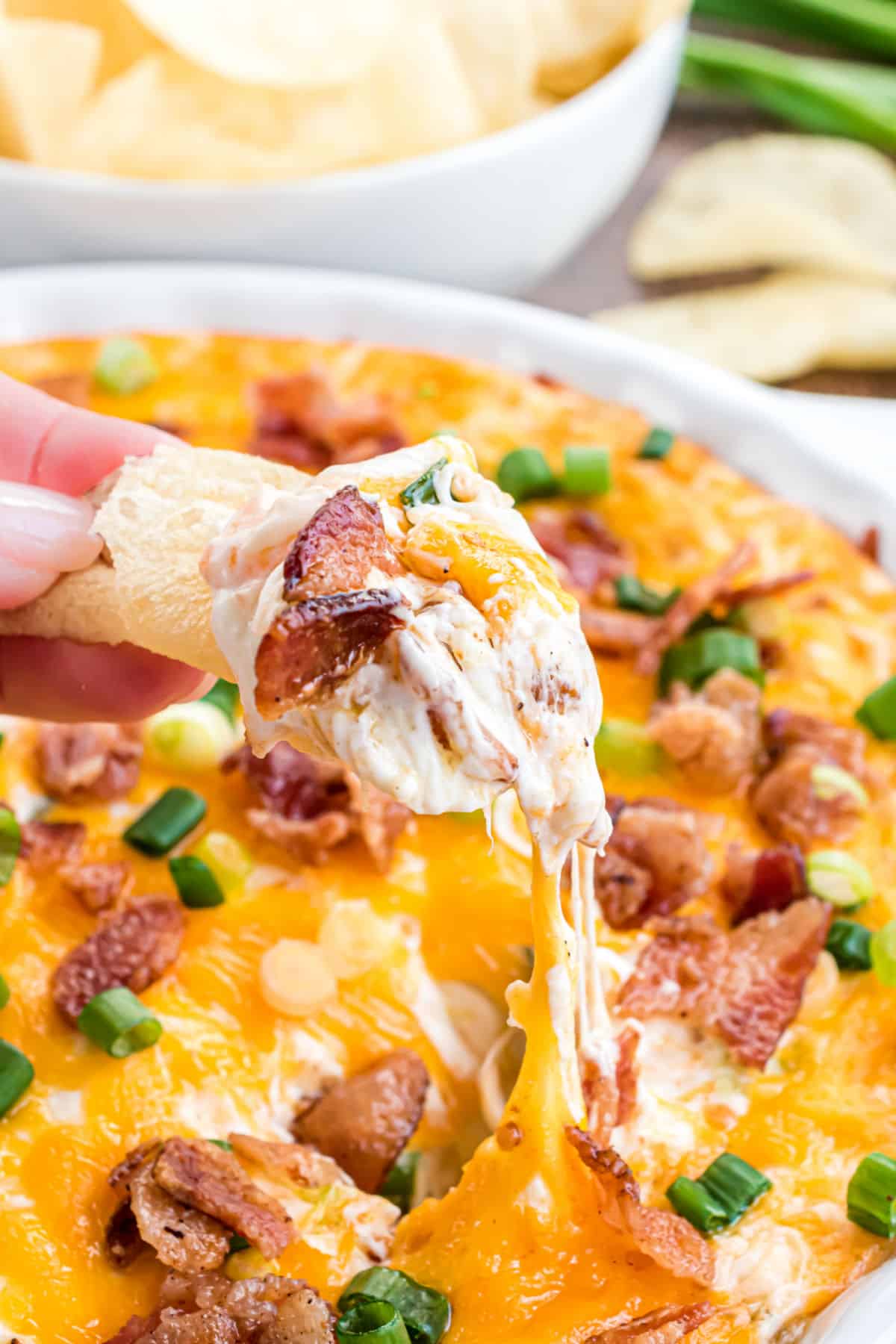Potato chip scooping up warm and cheesy dip topped with bacon.