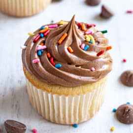 Yellow cupcake with chocolate frosting and sprinkles.